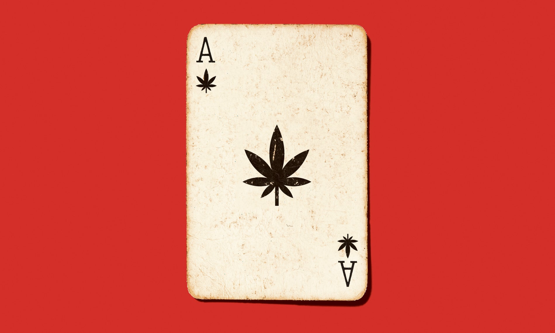 聯鉅球版大麻革命-聯鉅代理